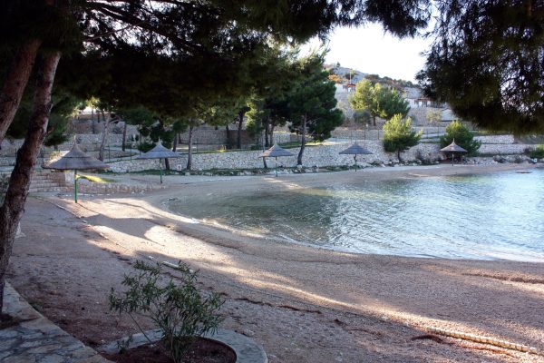 Drage - photo 12