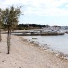 Soline - photo 7