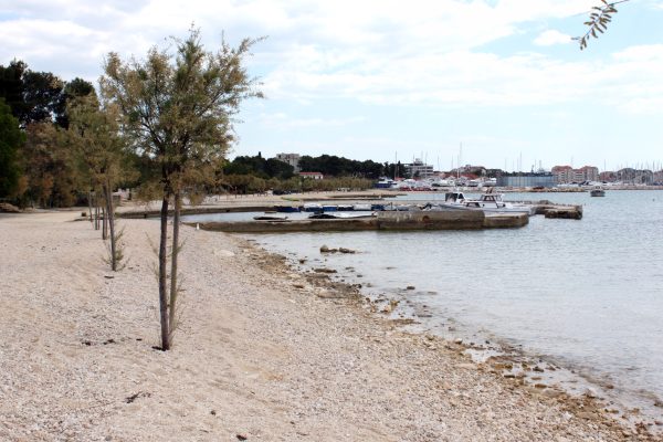 Soline - photo 7
