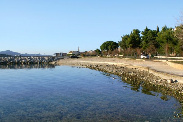 Lučica turanj - photo 21