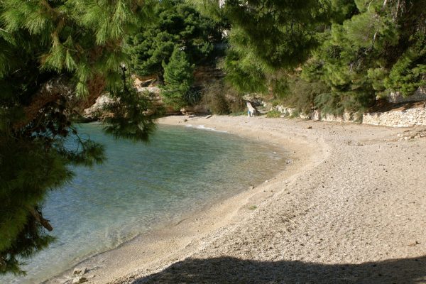 Račić - photo 42