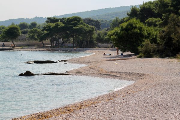 Mirca - photo 11