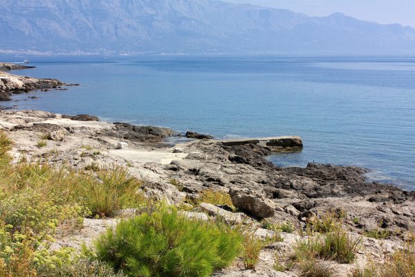 Ratac - photo 10