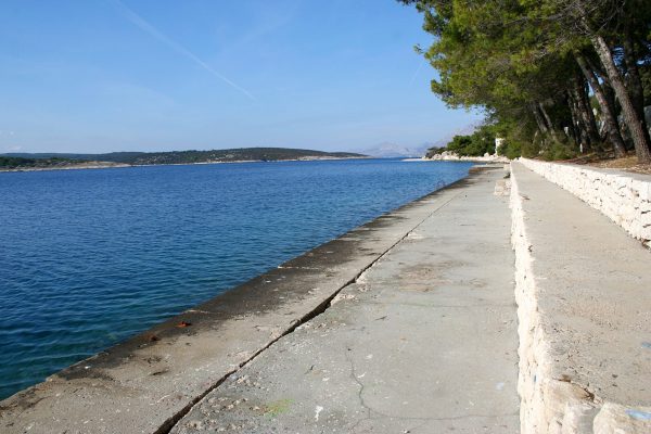 Ratac - photo 12