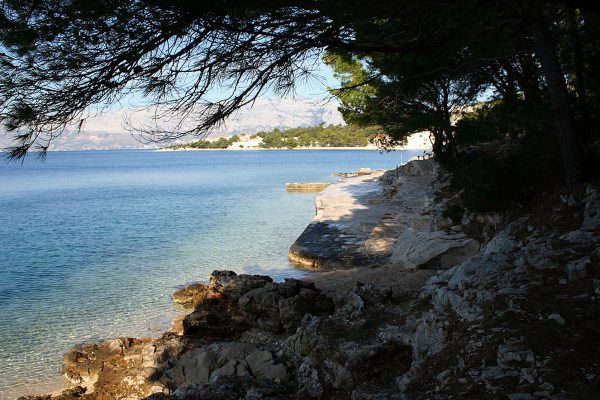 Ratac - photo 15