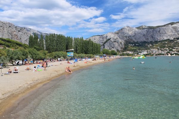 Galeb