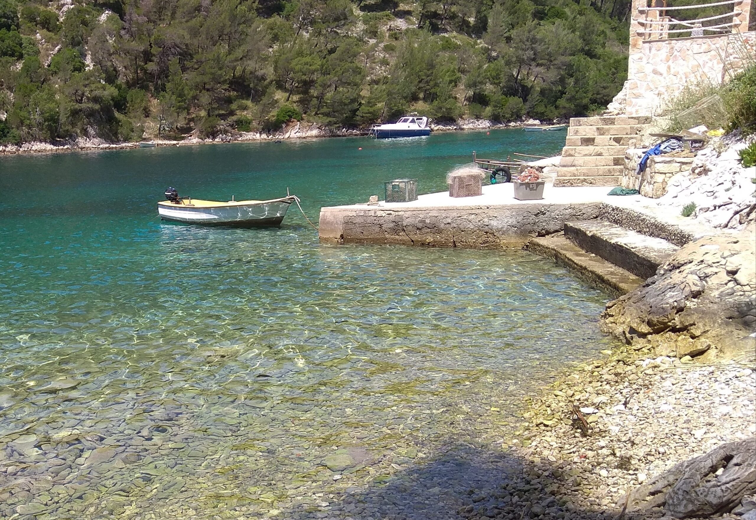 Kožja