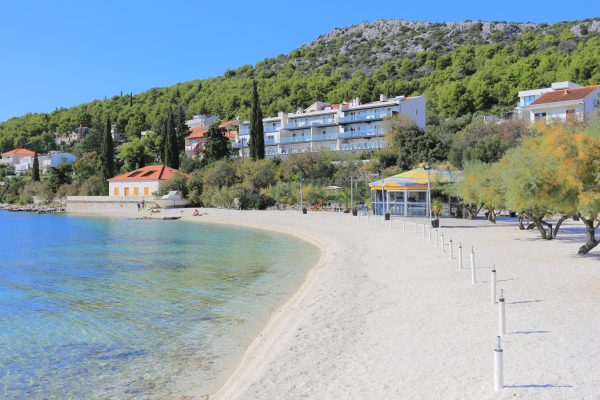 Bućivica
