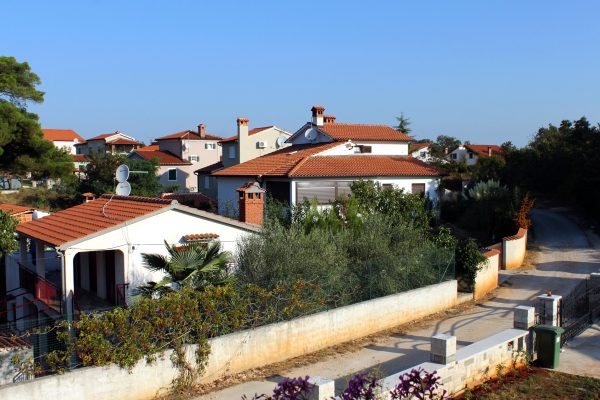 Buići