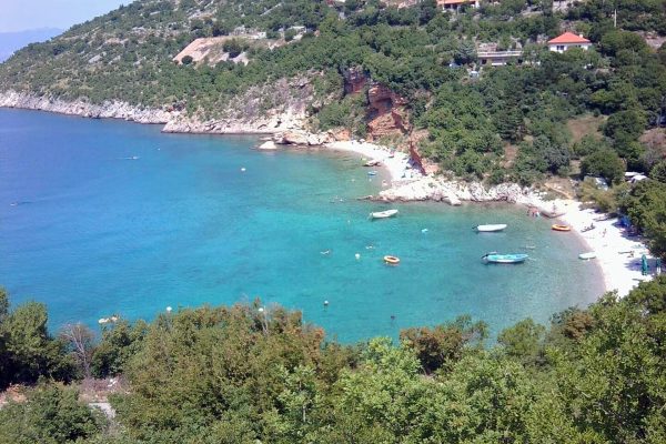 Bunica