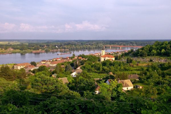 Draž