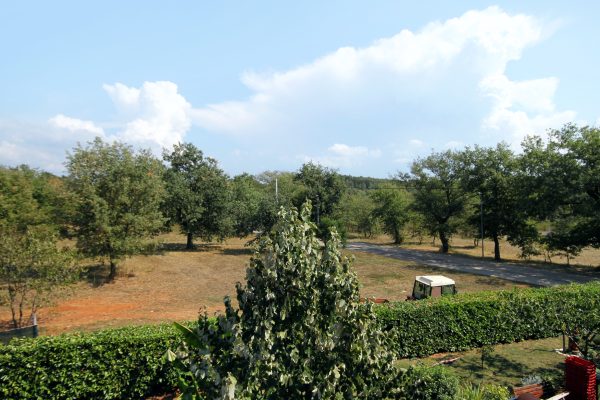 Fiorini