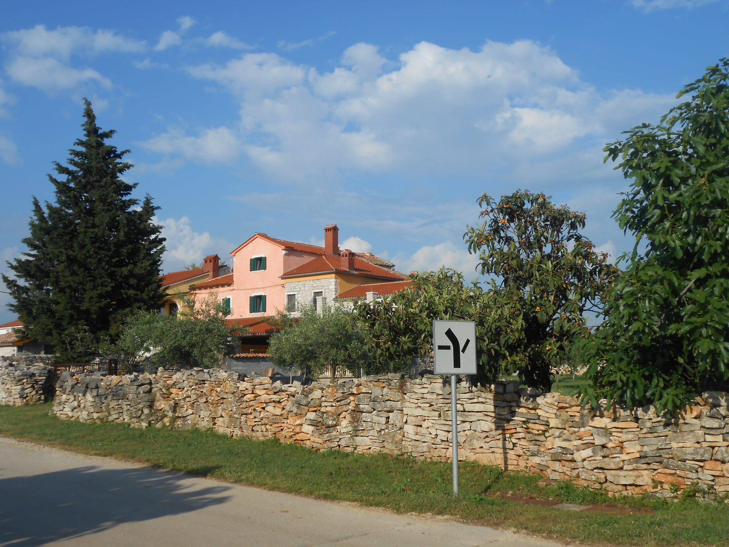 Gajana