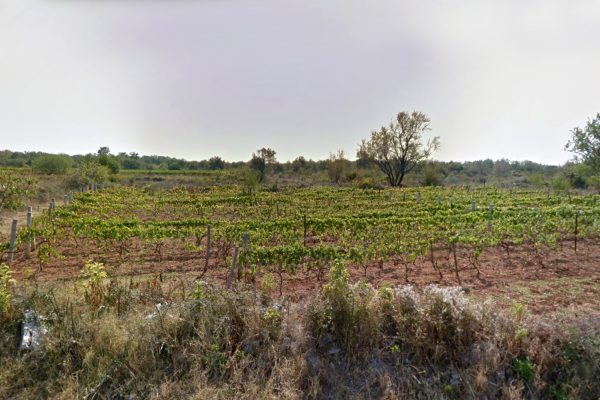 Galovac