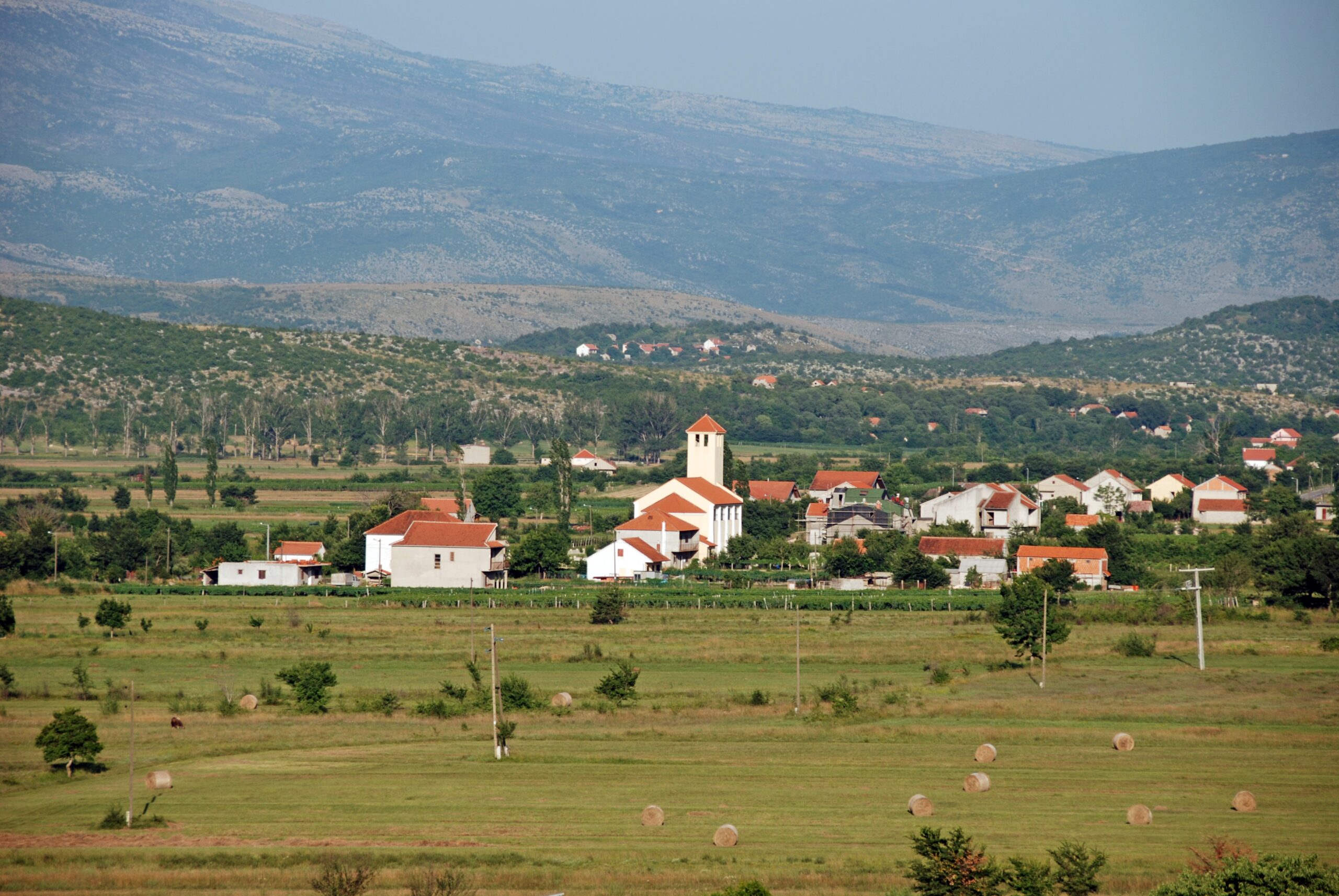 Kričke