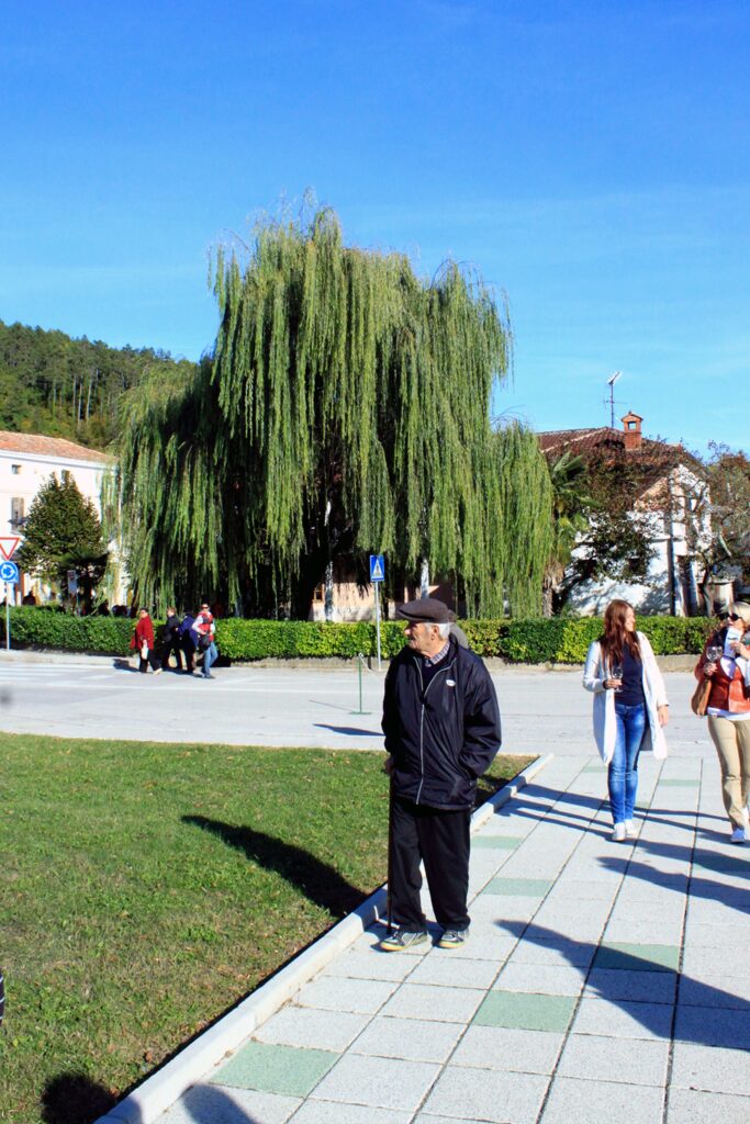 Livade, Središnja Istra, Croatia