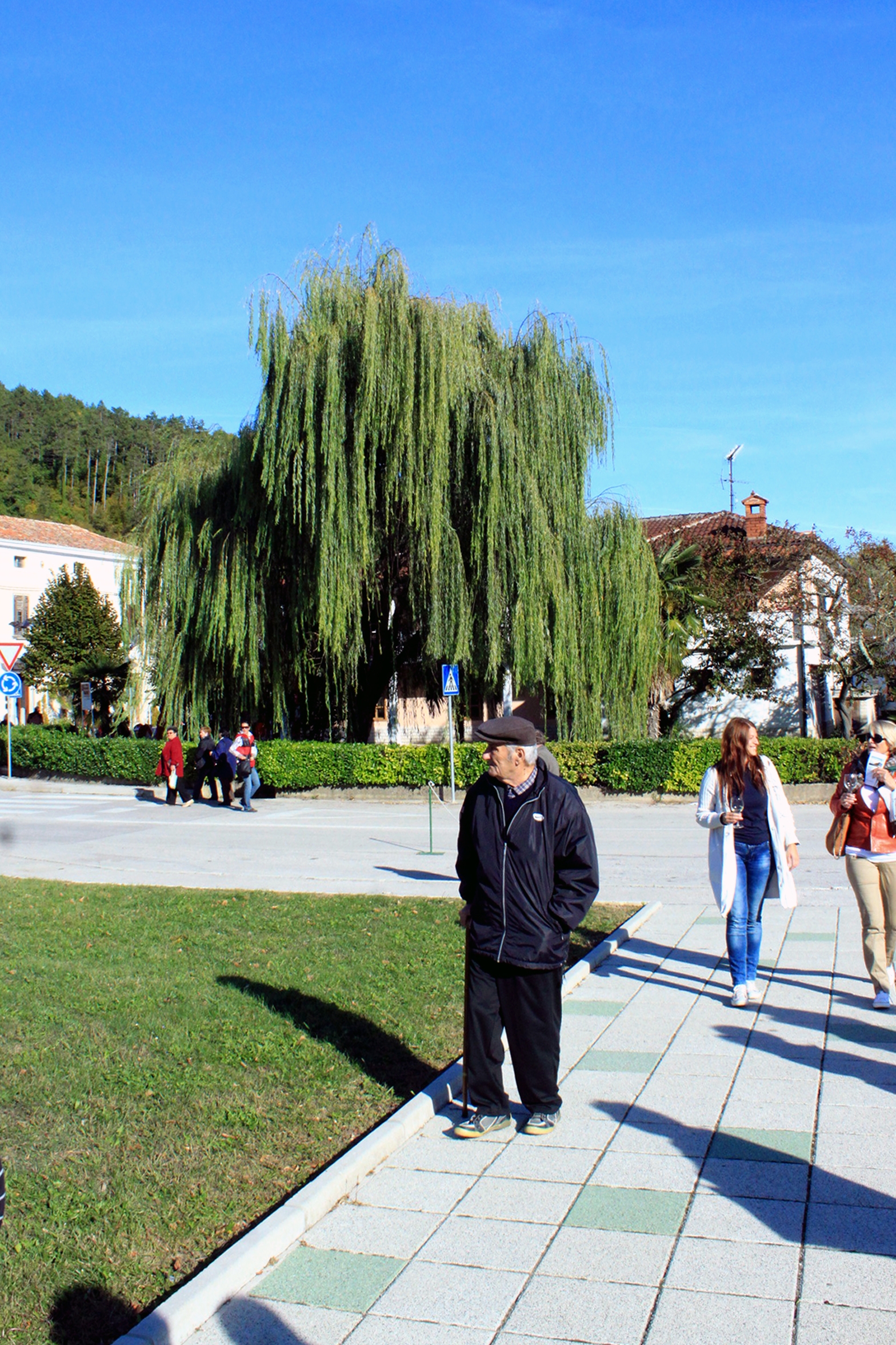 Livade