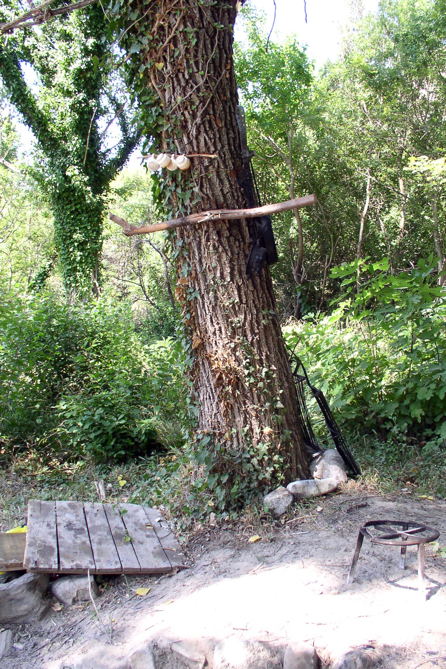 Kučiće