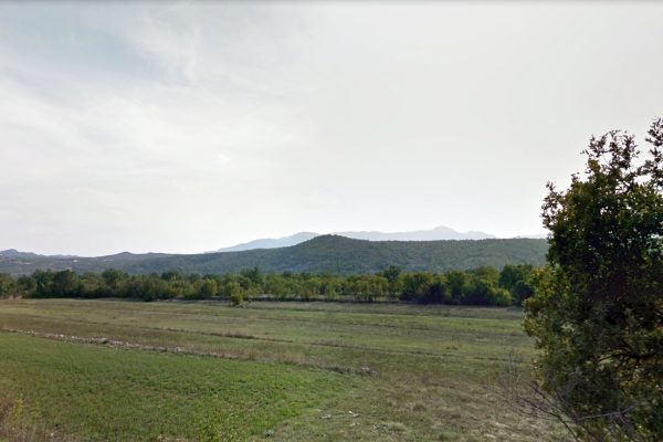 Ercegovci
