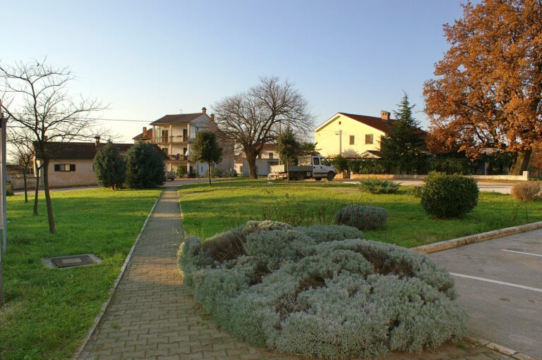 Babići