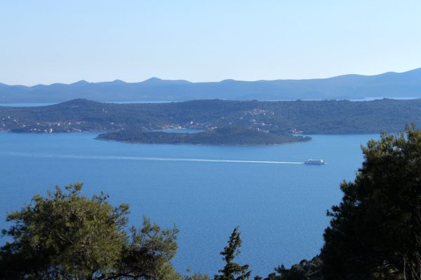 Iž