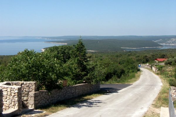 Raša
