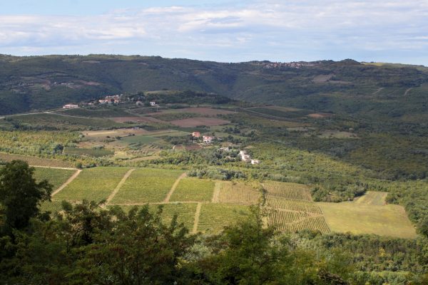 Središnja Istra