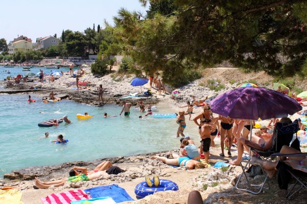 Bočići - photo 19