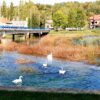 Duga Resa - photo 2