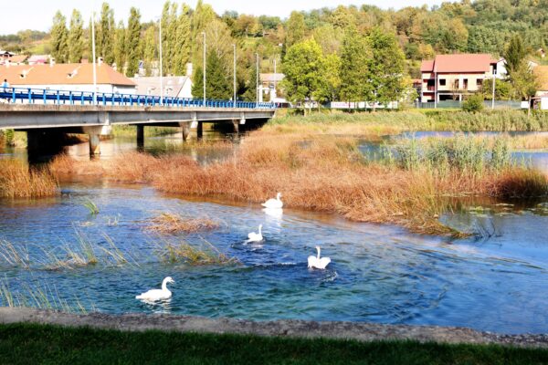 Duga Resa - photo 2