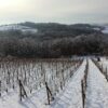 Kapelščak - photo 3