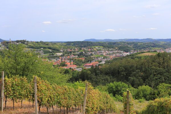 Krapina - photo 1