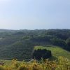 Segovina - photo 1