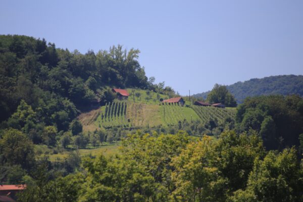 Tuheljske Toplice - photo 4