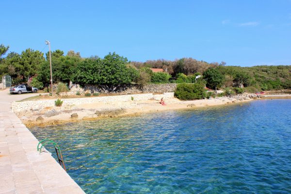 Draga - photo 11