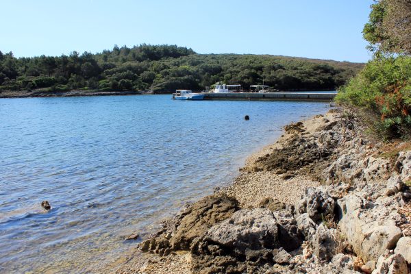 Draga - photo 15
