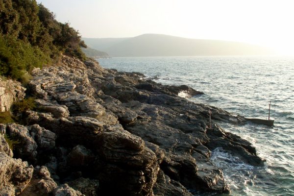 Veli Žal - photo 3