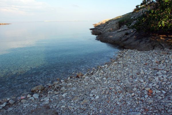 Verin - photo 5