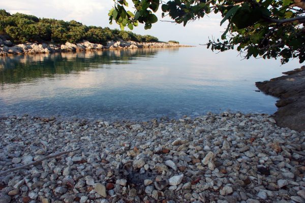 Verin - photo 6
