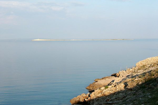 Verin - photo 8