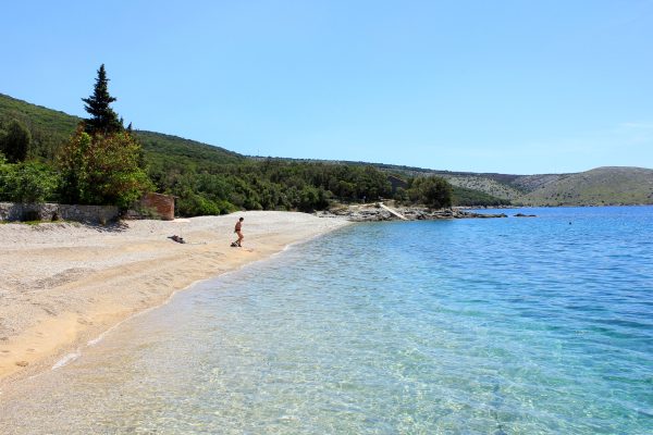 Veli Žal - photo 5