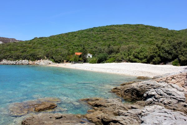 Veli Žal - photo 6