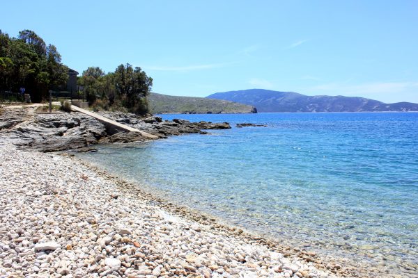 Veli Žal - photo 9