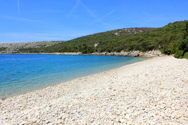Veli Žal - photo 11