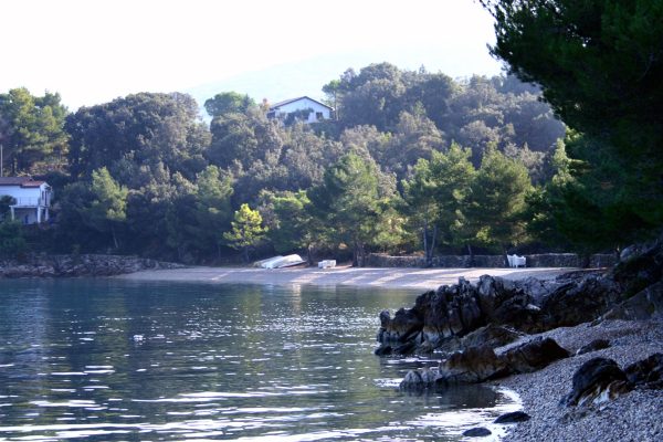 Zdovica - photo 10