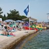Omorika - photo 15