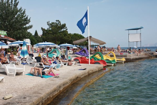 Omorika - photo 15