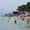Omorika - photo 16