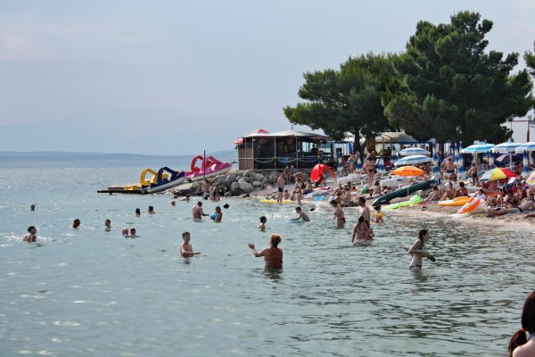 Omorika - photo 16
