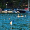 Drage - photo 6